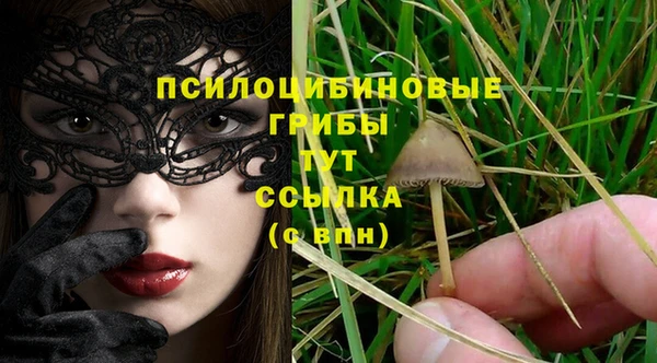 а пвп мука Кодинск