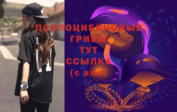 а пвп мука Кодинск