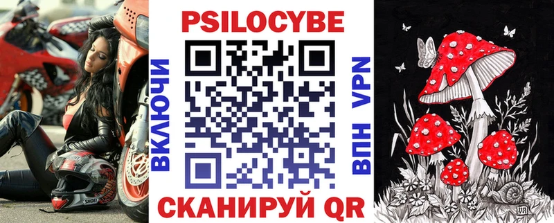 Псилоцибиновые грибы GOLDEN TEACHER  Купить  Ачхой-Мартан 