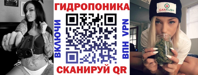 Купить закладки  Ачхой-Мартан  Конопля конопля 